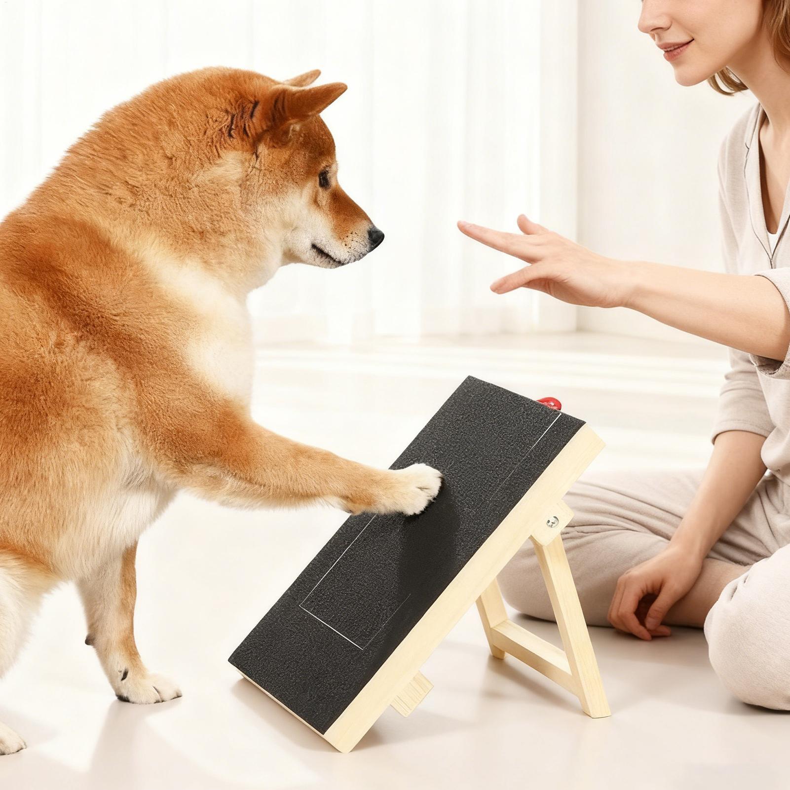 Hunde-Nagelfeilenbrett mit Aus – Woodworking Magazine Bewertung und Preis