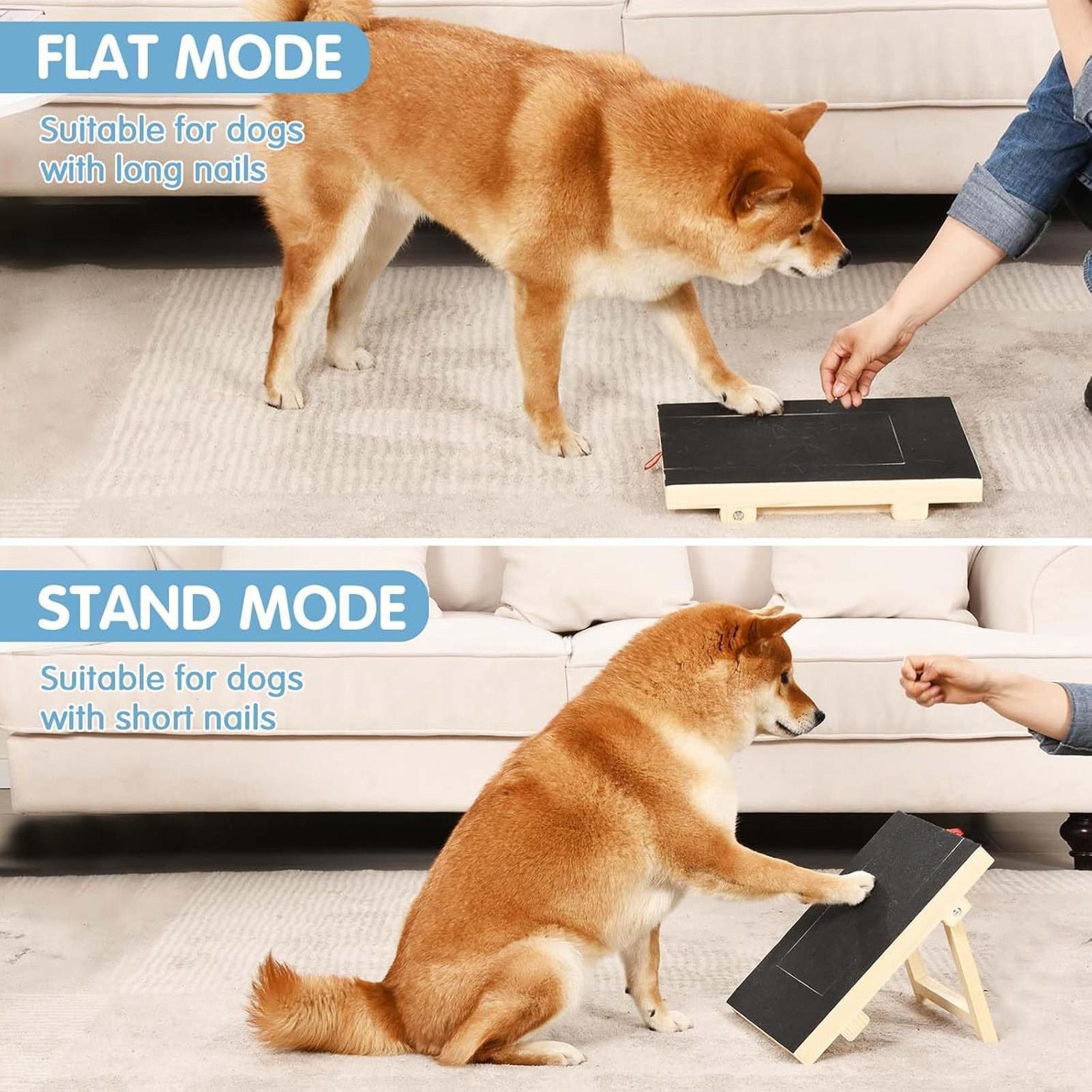 Hunde-Nagelfeilenbrett mit Aus – Woodworking Magazine Bewertung und Preis