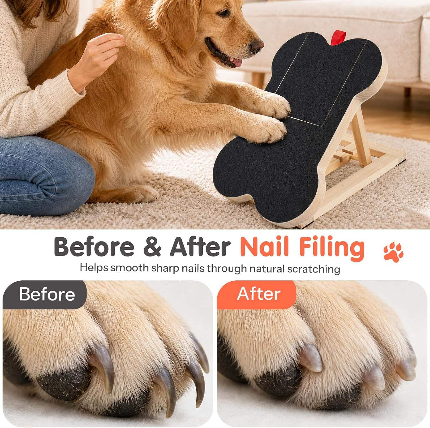 Hölzernes Hunde-Kratzboard mit – Woodworking Magazine Bewertung und Preis